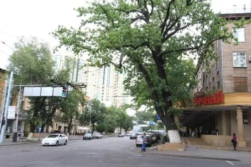 Nadezhda Apartments on Kabanbay batyr 122
