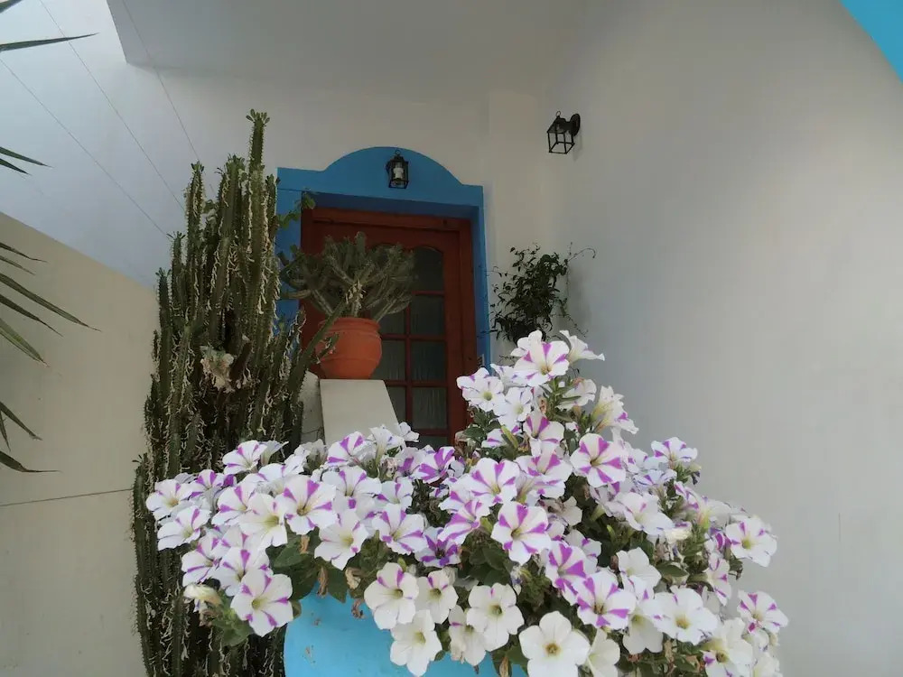 Studios Matina