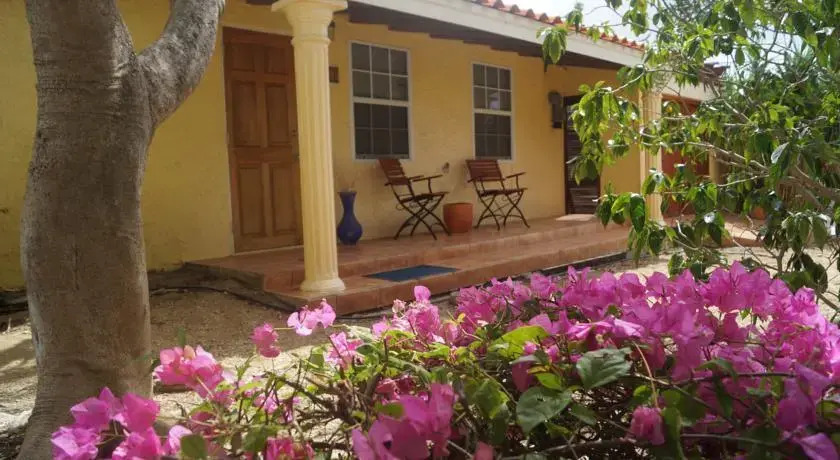 Guesthouse Aruba
