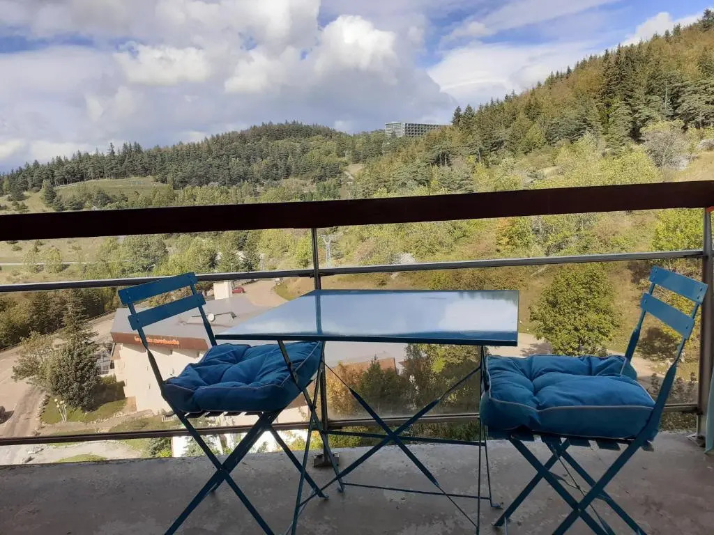 Studio Cabine Villard De Lans Cote 2000