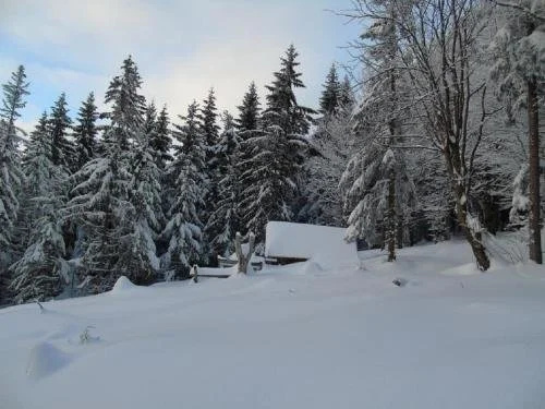 Pension Haus Waldesruh
