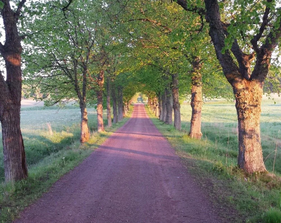 Röda Stallet Bed & Breakfast
