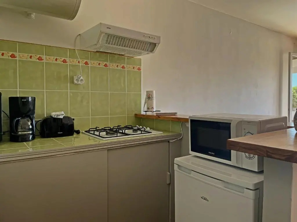 Studio Saintes-Maries-de-la-Mer, 1 pièce, 4 personnes - FR-1-475-39