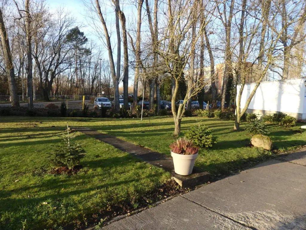 Zur Saale
