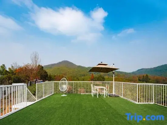 Yy House