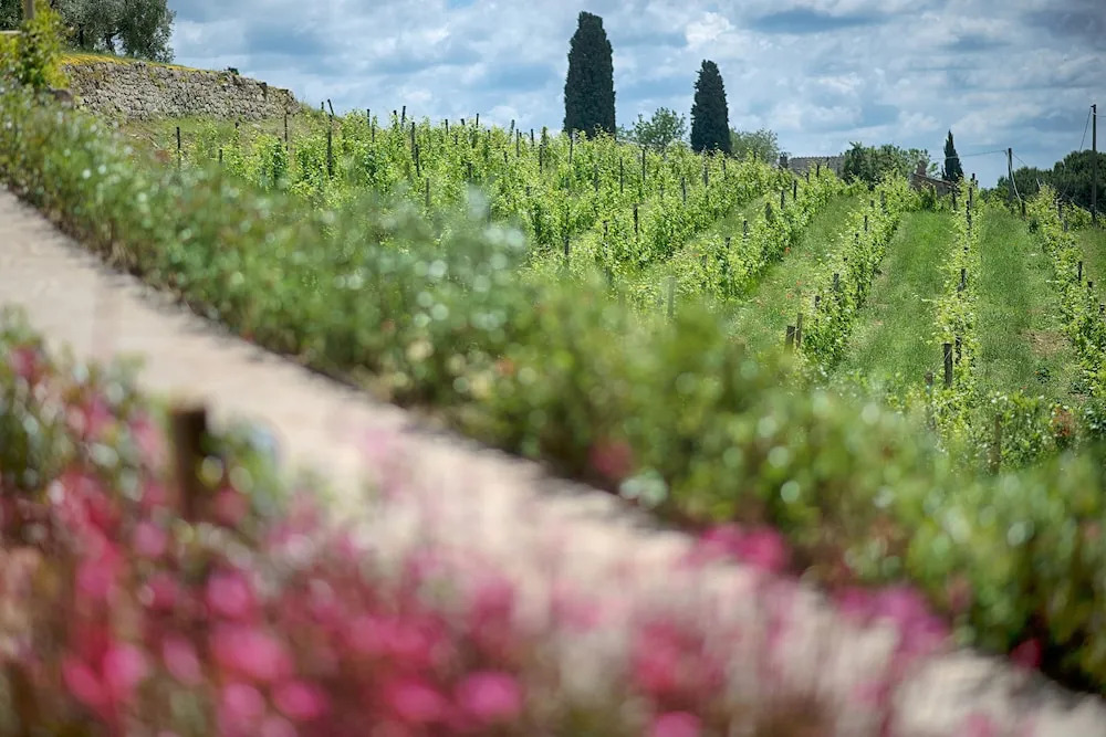 Luxury Chianti With two Bedrooms