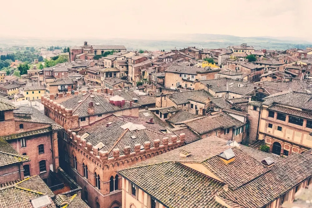 Rinidia - Siena Celso Cittadini