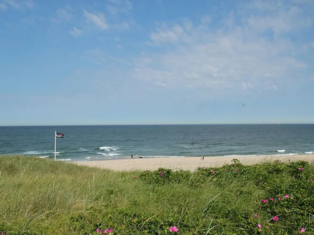 Lovely Holiday Home in Callantsoog near Forest
