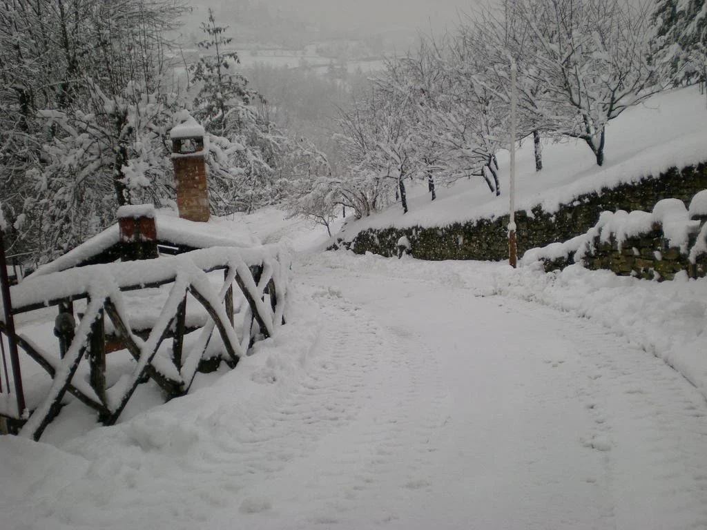 Borgo Robinie
