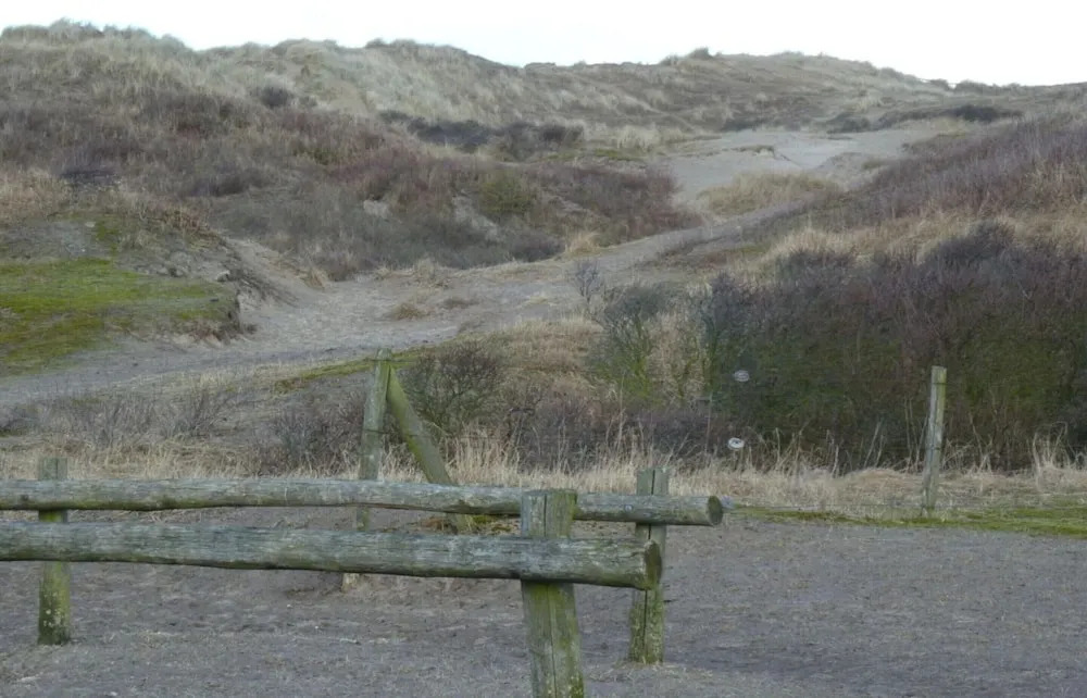 Zwenger - Egmond Aan Zee