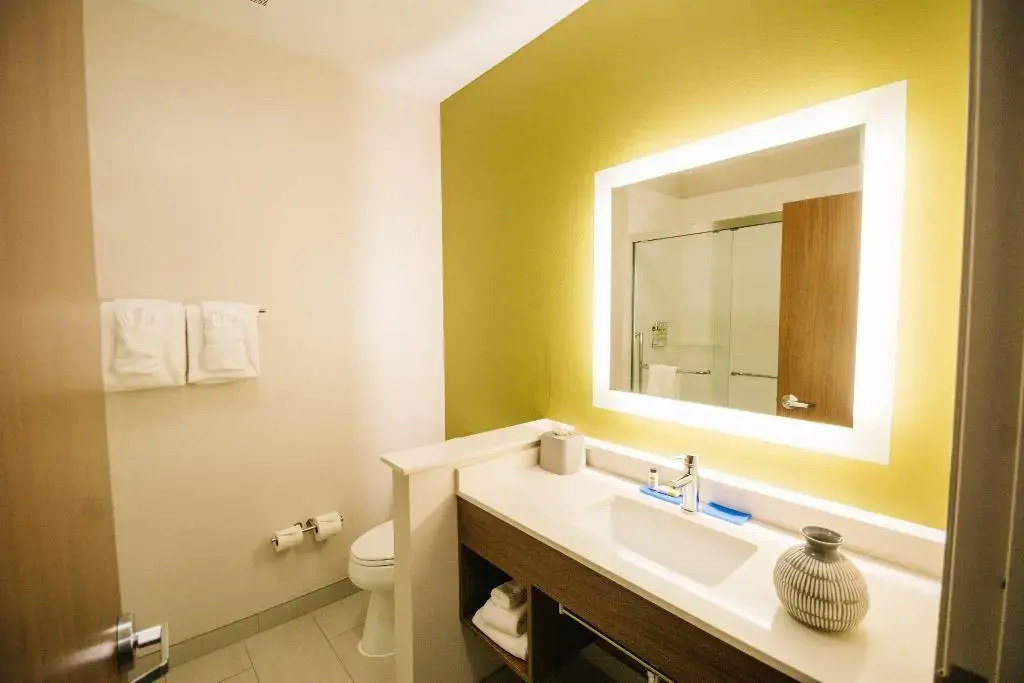 Holiday Inn Express and Suites Birmingham - Homewood