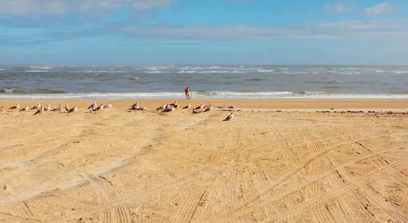 King of the Dune by Vacation Rental Pros