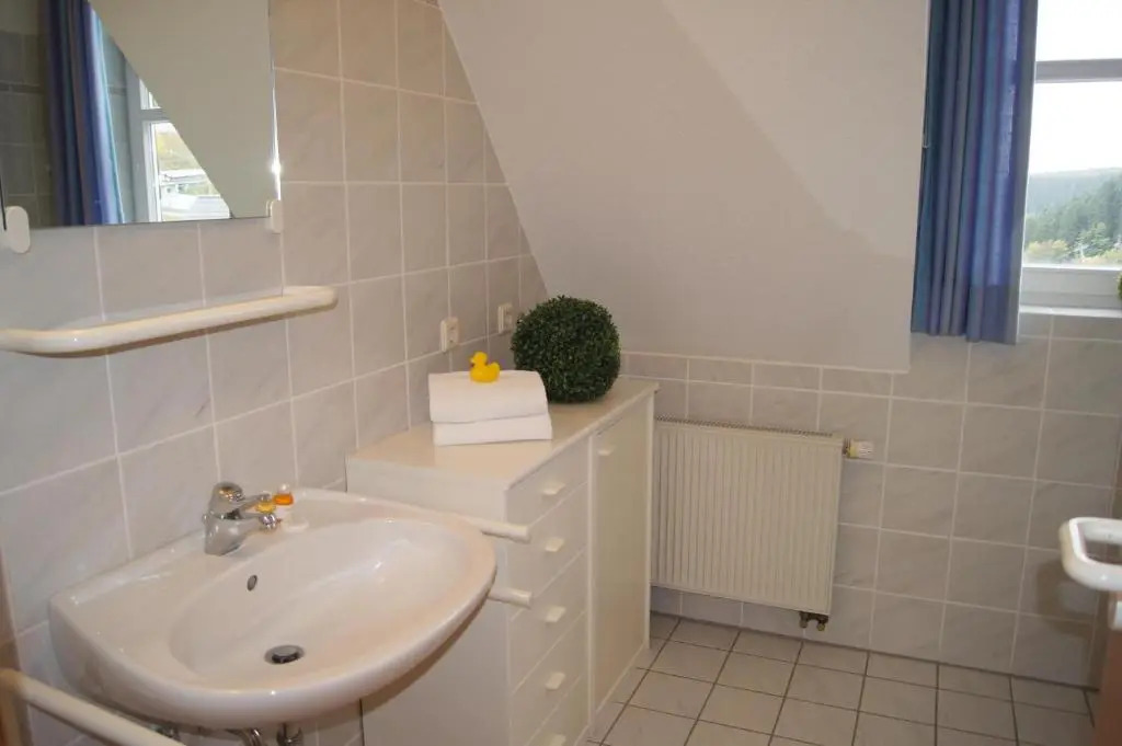 Winterberg Appartement 21103