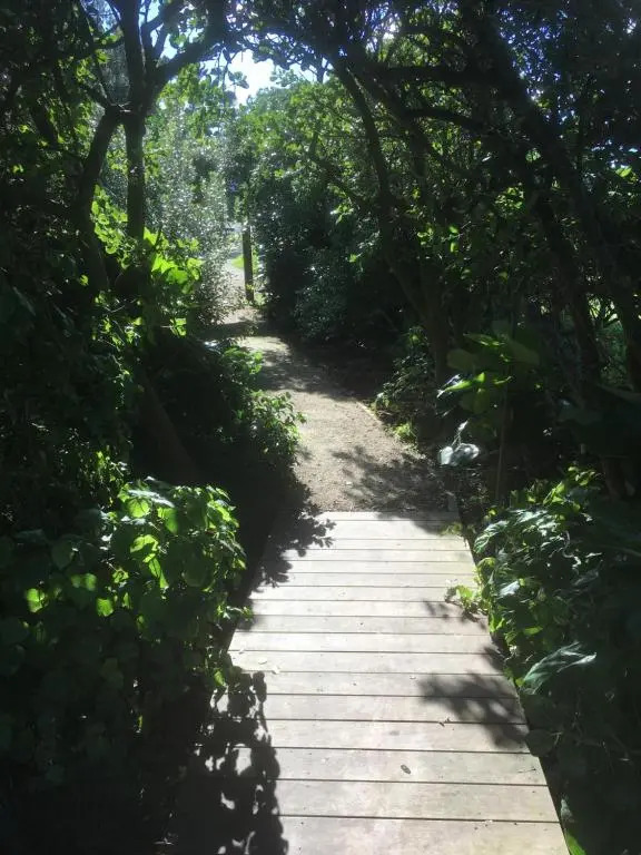 Hectors Hideaway
