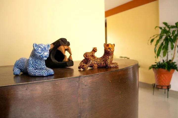 Hotel Casa Rus
