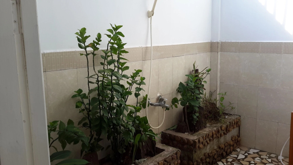 Bamboo Cottages