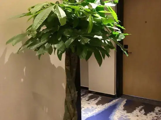 Light Stay Hotel (Jinan Jiyang Bus Terminal Branch)