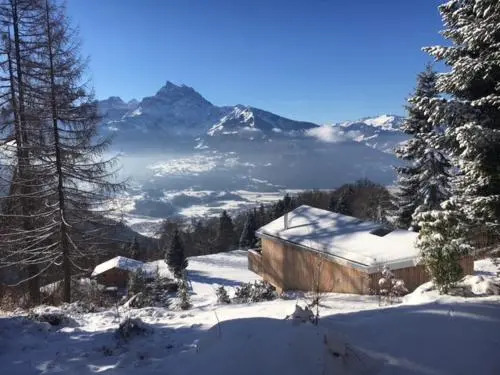 Chalet Contemporain