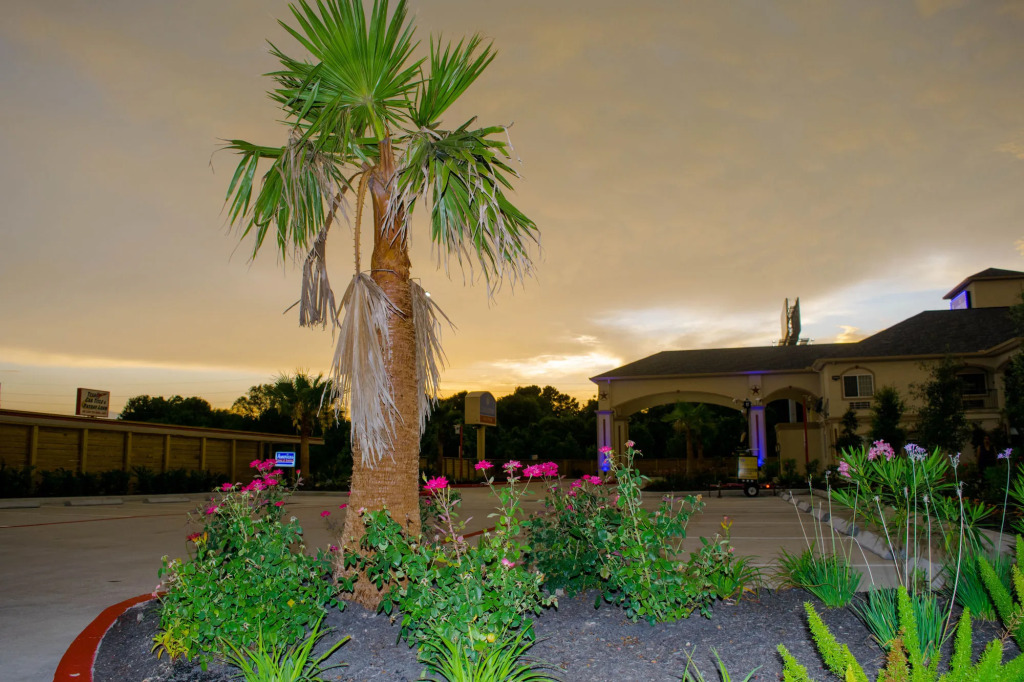 Motel 6 Houston, TX - Willowbrook Mall