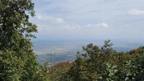 Tyupebi