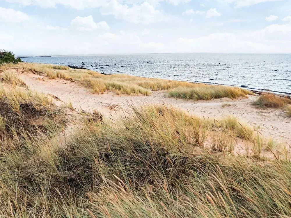 4 Star Holiday Home in Halmstad