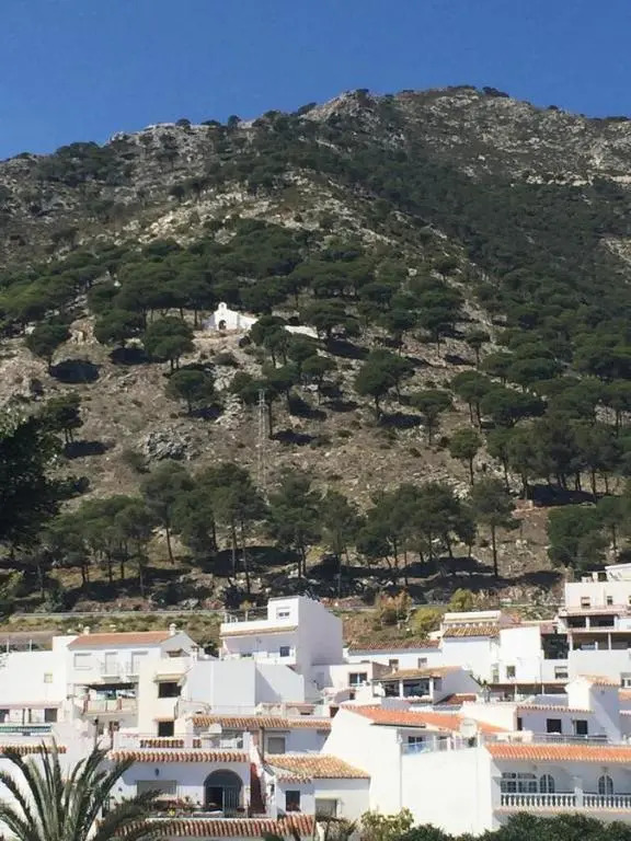 Apartament Dona Pia With Share Pool