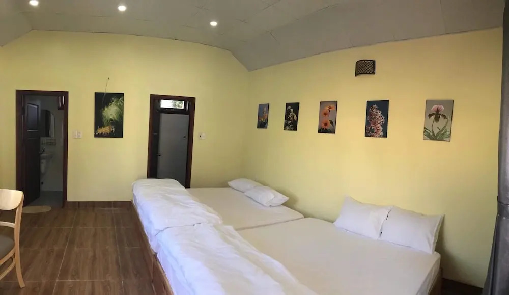 Tomorrow Homestay Đà Lạt