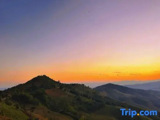 SkyVille cafe&homestay
