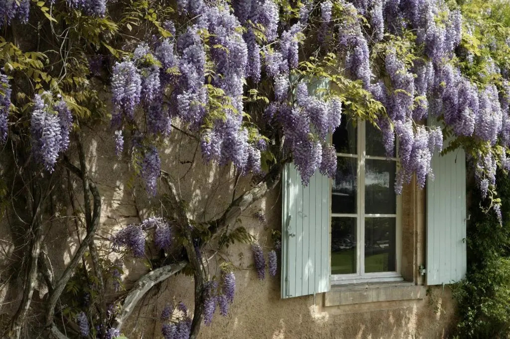 Hostellerie de la Commanderie