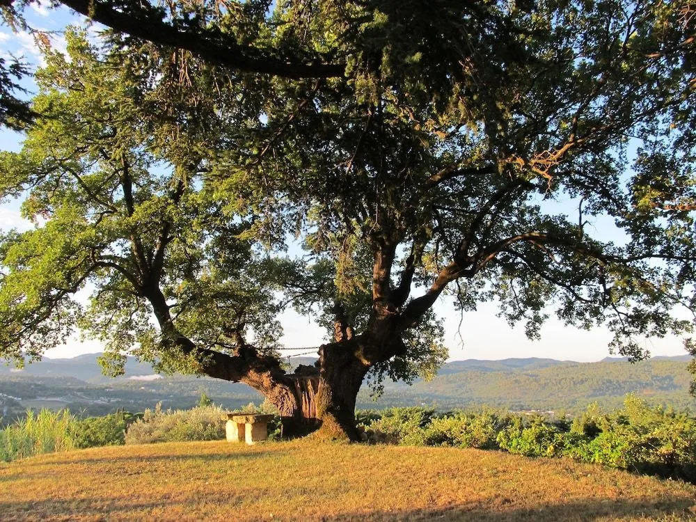 La Chesnaie
