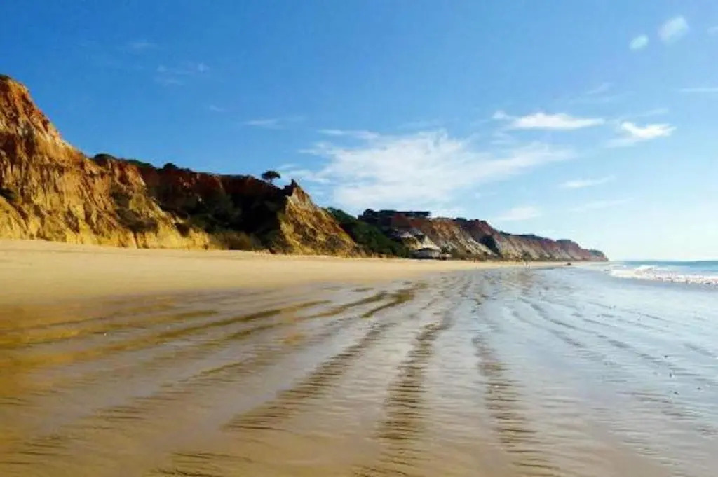 Magnifique appartement a 400 metre des plages