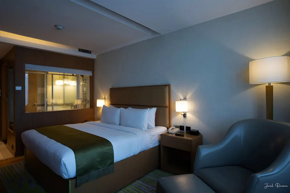 Ion Hotel