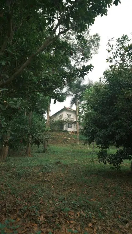 Yen Bai Resort