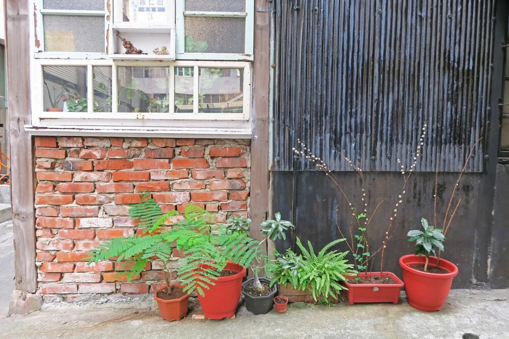 The Old House Chiayi B&B