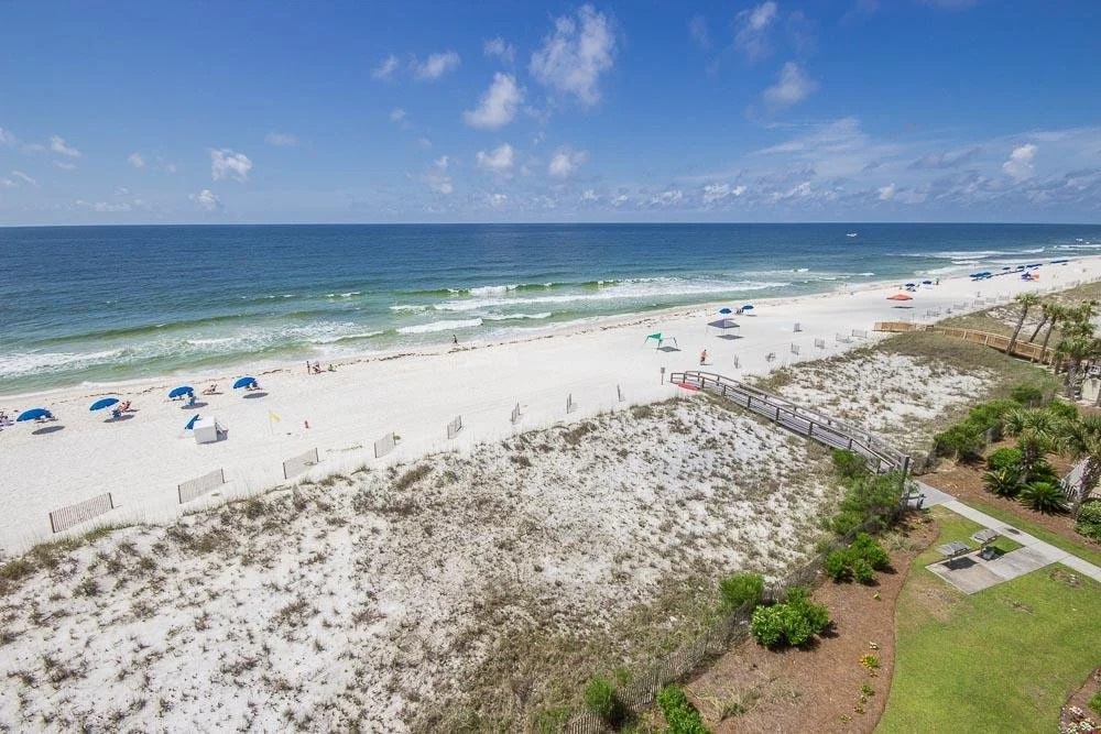 Dolphin Key #4B
