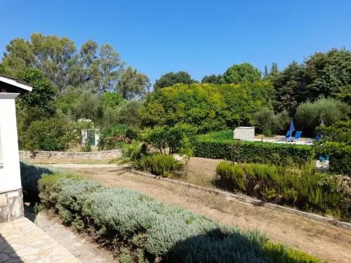 Lemontree Apartments