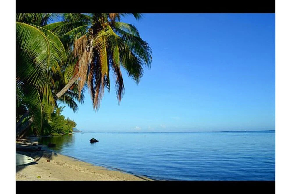 Fare Makana