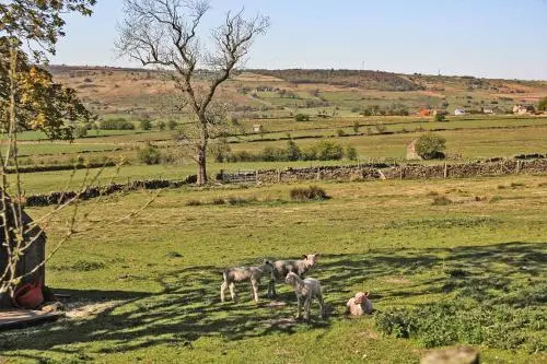 Moorland View Farm B&B