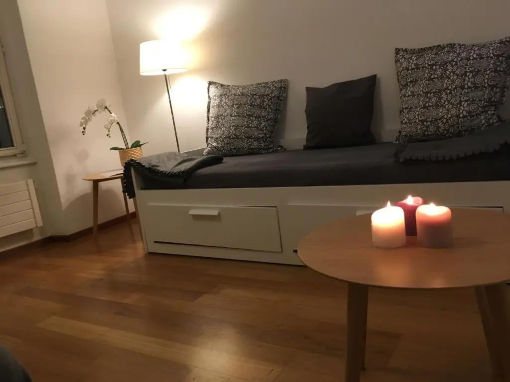 Parking voiture & Appartement 2pcs Lausanne centre