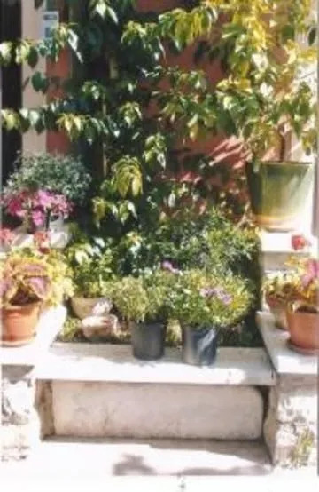 Locanda Montesei