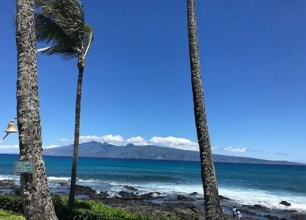 Moana Nui - Paki Maui 411