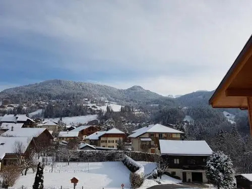 Studio Primeveres - Centre village - AravisTour