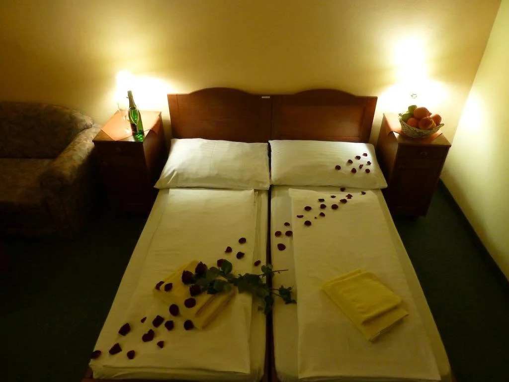 Hotel Korunni Princ
