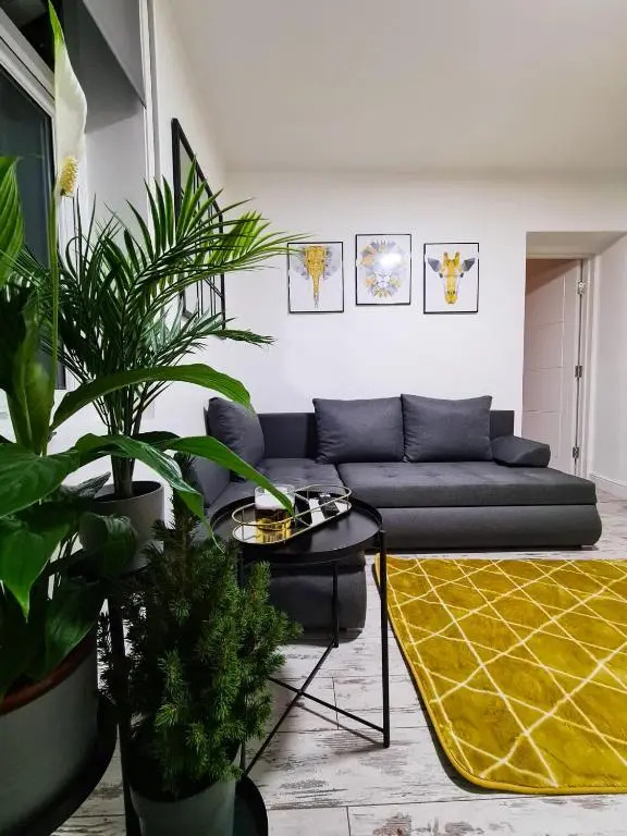 Beautiful Apartment - up to 4 guests - Leicester City Centre . Free WIFI
