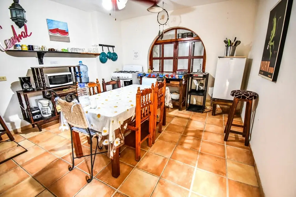 Casa Freud