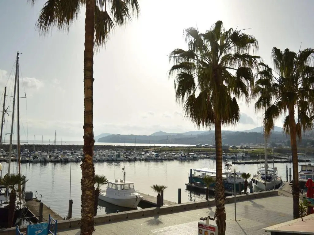 Appartement Argelès-sur-Mer, 1 pièce, 4 personnes - FR-1-225-53