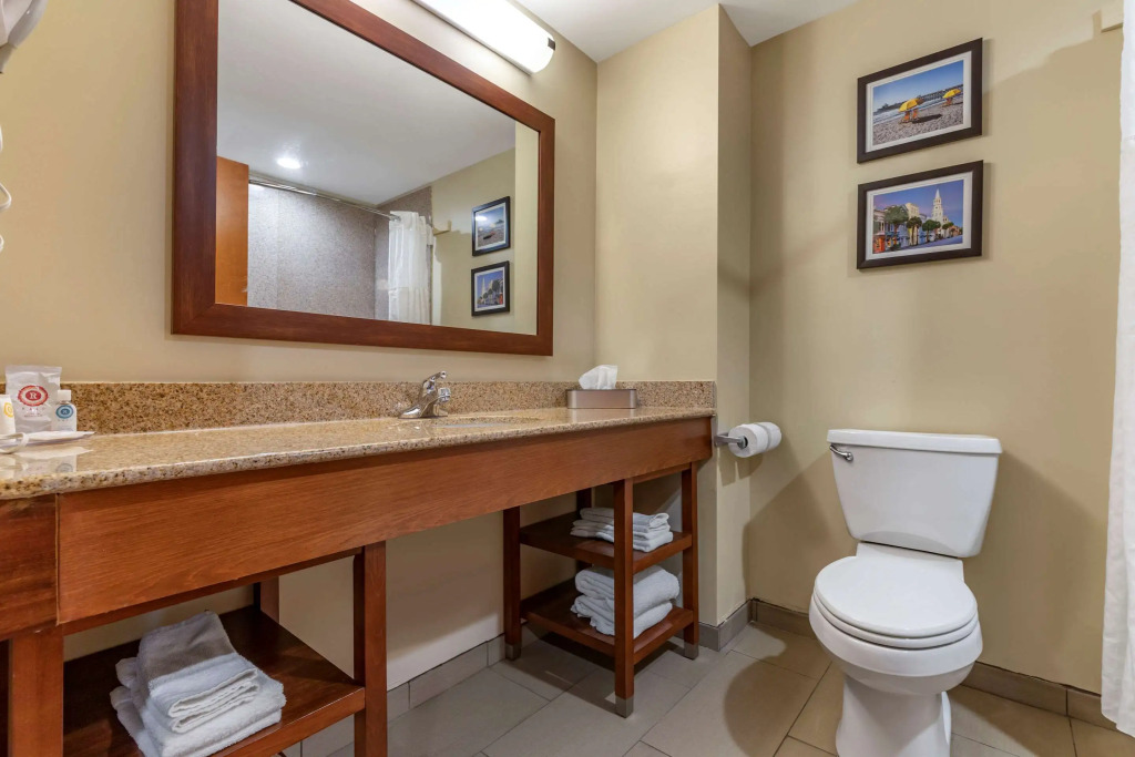 Comfort Inn & Suites Orangeburg