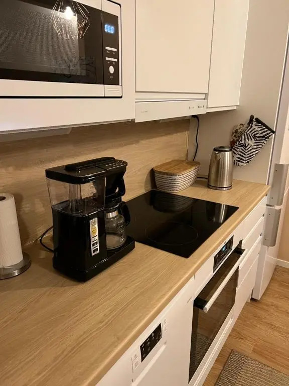 Cozy centre apartament Kuopio