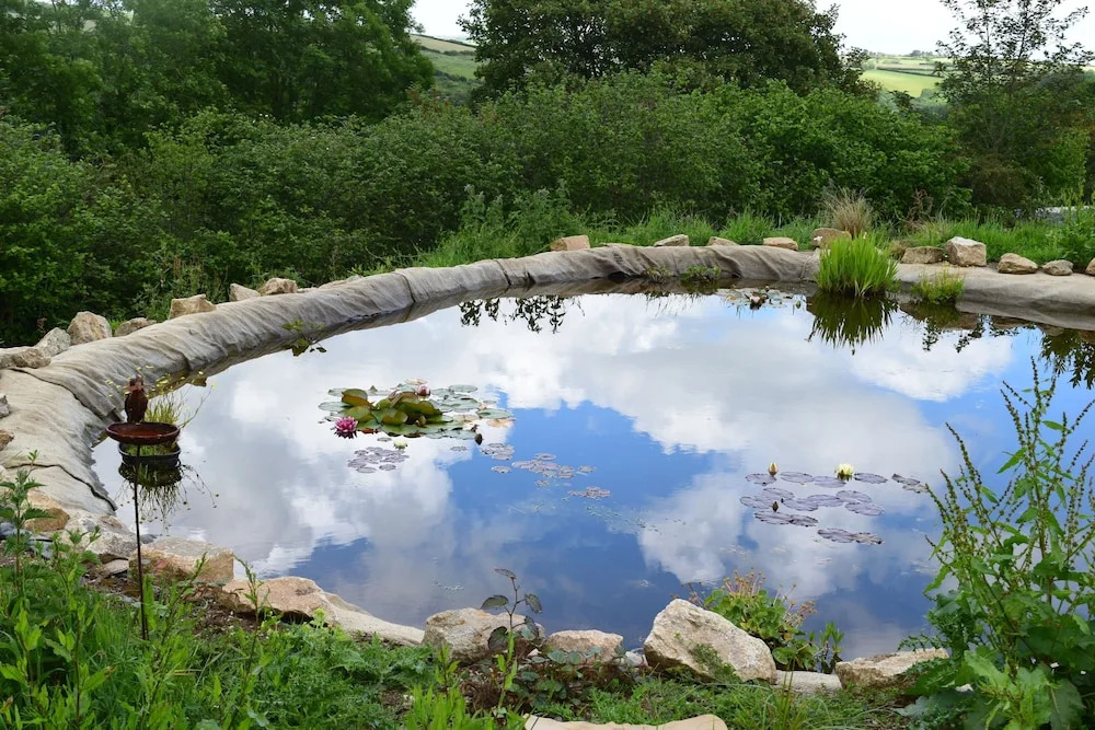 The Sanctuary Cornwall