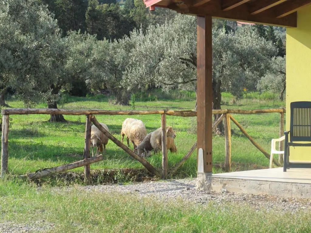 Holiday home Stella di Sicilia